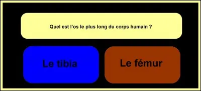 Make the right choice!