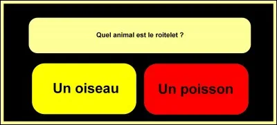 Make the right choice!