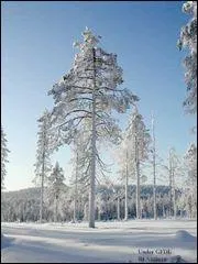 It is admitted that Father Christmas resides in Lapland, but where?