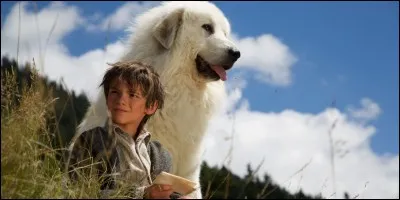 What is Belle's breed in Belle et Sebastien?