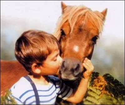 Which famous literary and television pony was created by Cecile Aubry in 1961?