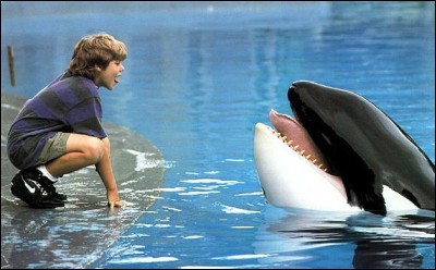 What is the name of the killer whale that young Jesse must save in a 1994 film?