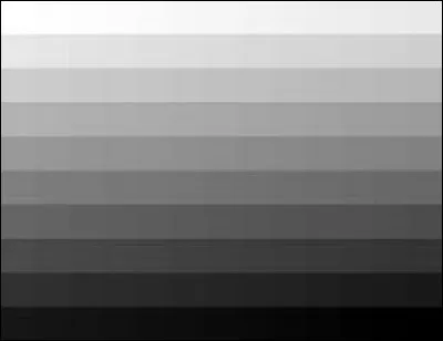 Which color is not a variety of gray?