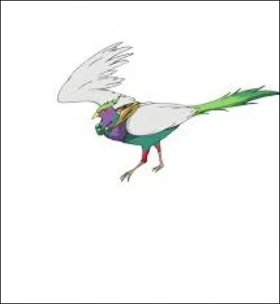 What is the name of this creature ?