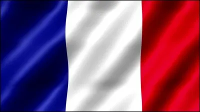 What is the capital of France?