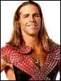 What is HBK's finishing move?