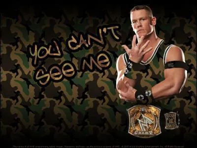 What is JOHN CENA's finishing move?