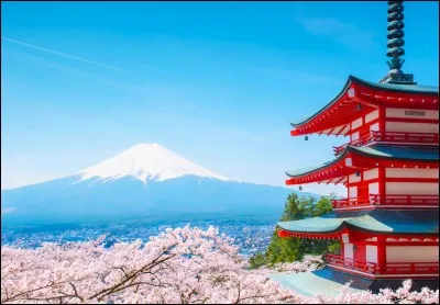 True or false? In Japan, we take a bath before taking a shower.