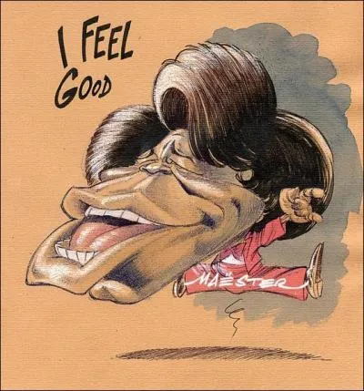 To which American artist, who died on December 25, 2006, do we owe musical hits such as "I Feel Good" and "Sex Machine"?