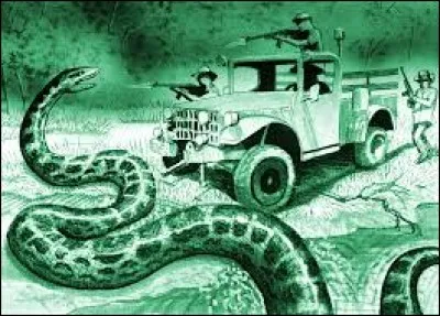 What is the name of this creature ?