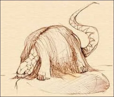 What is the name of this creature ?