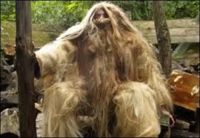 What is the name of this creature ?