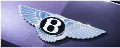 Which brand owns this logo?