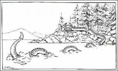 What is the name of this creature ?