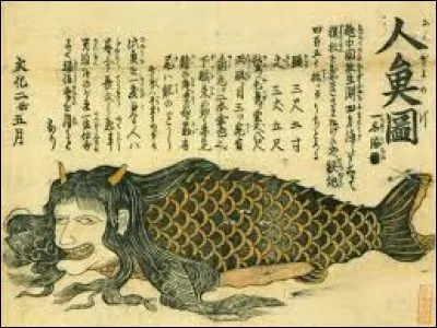 What is the name of this creature ?