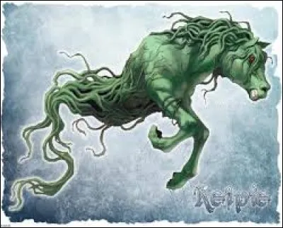 What is the name of this creature ?