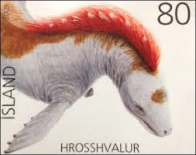 What is the name of this creature ?