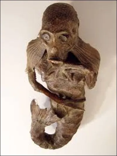 What is the name of this creature ?