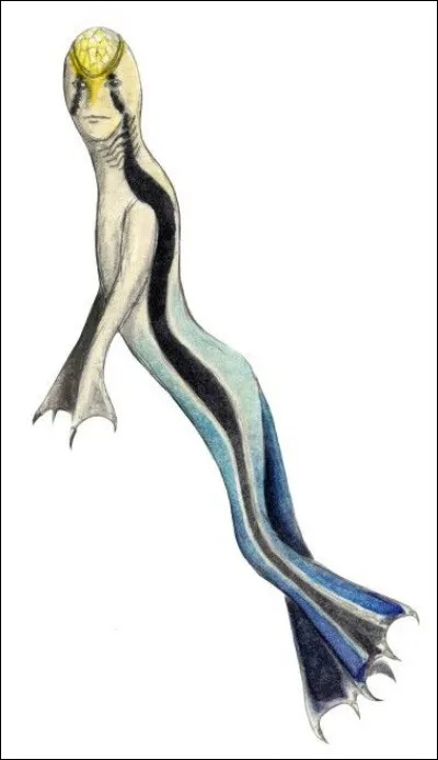 What is the name of this creature ?