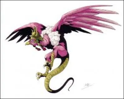 What is the name of this creature ?