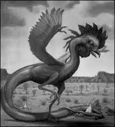 What is the name of this creature ?