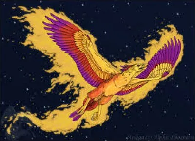 What is the name of this creature ?