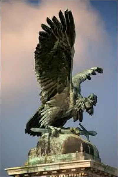 What is the name of this creature ?