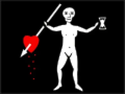 To which pirate belongs this flag ?