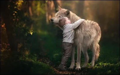 In The Jungle Book , what is the name of Mowgli's wolf friend and protector?