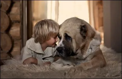 Whose words are these: Let me become, the shadow of your shadow, the shadow of your hand, the shadow of your dog...  ?