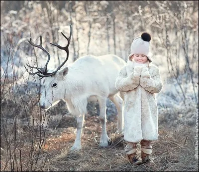 What is the name of the famous little reindeer with the red nose?
