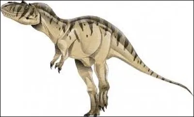 What is the name of this dinosaur ?