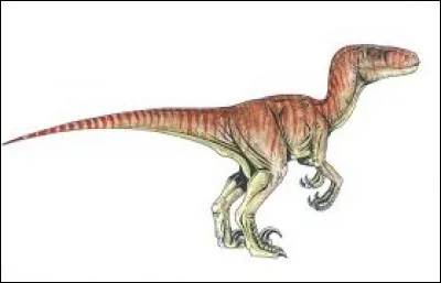 What is the name of this dinosaur ?