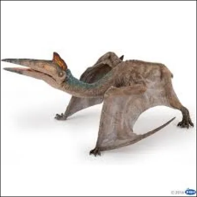 What is the name of this dinosaur ?