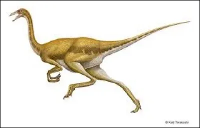 What is the name of this dinosaur ?