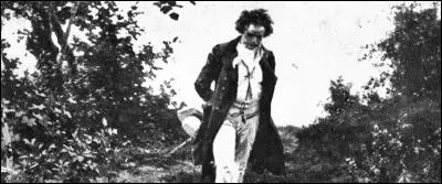 And to get you started: can you turn into a Quirrell if you drink Polynectar?