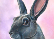 Quiz Rabbit & Art