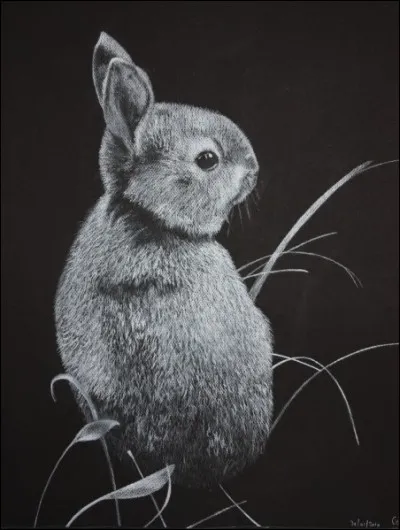 Who painted this artwork ?