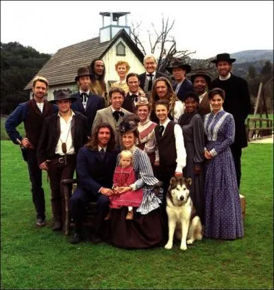 Who plays the ''lady doctor'' Doctor Quinn?