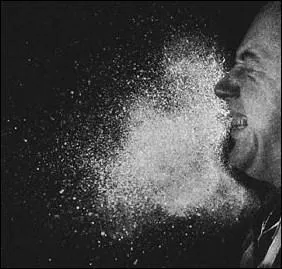 Which disease is caused by Koch's bacillus?