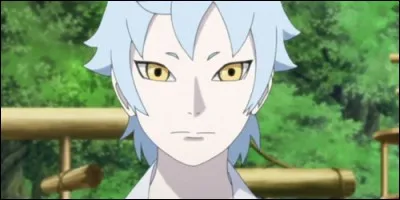 Which village does Mitsuki come from?