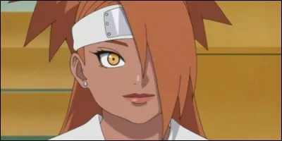 Who is Chocho Akimichi's mother?