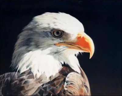 Who painted this artwork ?