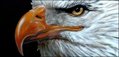 Who painted this artwork ?