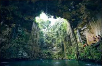 What is a cenote?