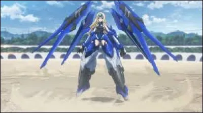 What is the name of this IS ?