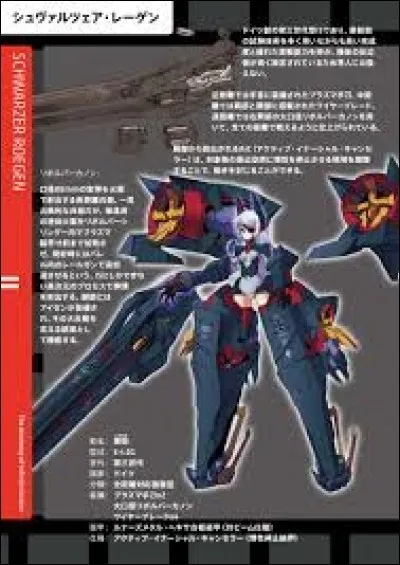 What is the name of this IS ?