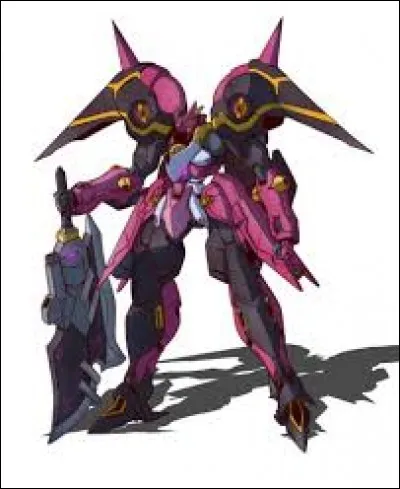 What is the name of this IS ?