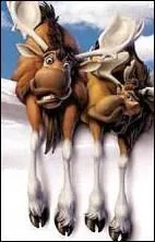 (Bear brothers 2) What are the names of the two elks?