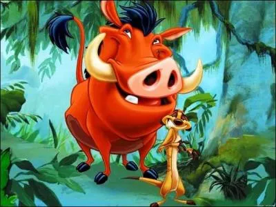 (The adventures of Timon and Pumba) Which animal is Timon?
